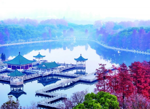 当天冬至 | 名中医指令“冬令进补”，收下这份“暖身指南”