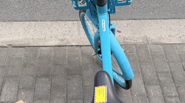 新民特稿 ｜ 两个年青东说念主的诗意“游击战”